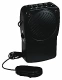 Voice Transformer