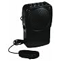 Voice Transformer