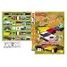 はたらく車別冊 世界の車が見れるよ スポーツカー だ~いすき! 3 [DVD]
