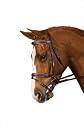 Collegiate Flash Crank Bridle-Brown - Full