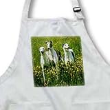 Greyhound - Waist Apron With Pockets - B000MB5SFO