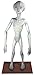 Roswell UFO Alien