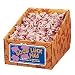 Safari Mini Pig - One Single Pig - Sold Individually
