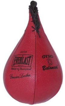 Everlast Leather Striking Bag