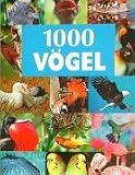 1000 Voegel