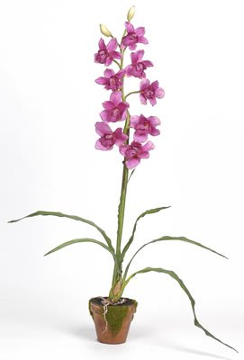 Cymbididium w/Moss Pot Silk Orchid Plant – Purple