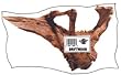 Sinking Driftwood Medium
