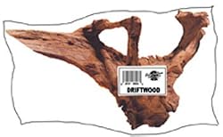 Sinking Driftwood Medium