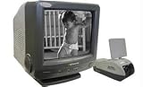 WISECOMM WW-7700 7' B&W 2.4 GHz Wireless Observation System