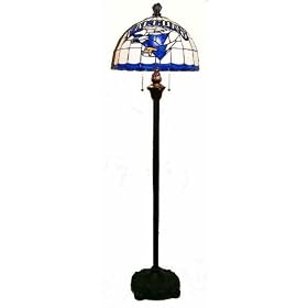 Air Force Falcons Floor Lamp Light (16x57) NCAA College Athletics