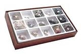 Mesozoic Fossil Collection