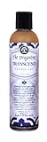 Natural Aromatherapy Body Wash - (Transcend) - A Spirited Blend of Amber, Vetiver & Ginger - Contains Essential Oils to Keep Your Skin Moisturized and Healthy - A Shower Gel By The Dragontree