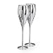 Personalized Silver Plated Wedding Toasting Flutes with Free Engraving & Shipping