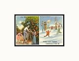 Oranges Versus Snowballs, Florida Pre-Matted Print, 14 x 11