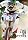 Earthed 5 The Law Of Fives�yMTB DVD�zϳ����޲�