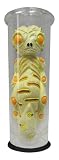 Toys : Test Tube Aliens X: The Sentients Pursuit - Hayato