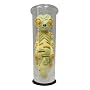 Test Tube Aliens X: The Sentients Pursuit - Hayato