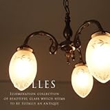 yz@GOLLES-S[X- AeB[N gCeAƖ yamor-collection-z(FC-634A3)