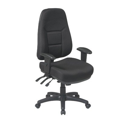 High Back Multi Function Ergonomic Chair with Ratchet Back Height and 2-Way Adjustable Arms Fabric: Mime-Azure