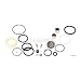RockShox Ario Service Kit 2010-Current