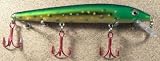 JLVLures JLV Shallow Suspending Minnow Brook Trout : Husky Stickbait Lures Saltwater Freshwater Jerk Bass Smallmouth Steelhead Pike Muskie Salmon Trout Snook Striper Perch Whiper Snook Speckled Trevally, Mid- Depth Trolling Casting Hook Treble