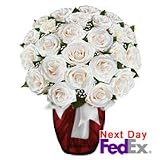 Roses - Minty Fresh
