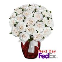 Roses -