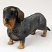 Wire-haired Dachshund Figurine