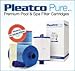 Pleatco PMA20-F2M Cartridge/Grid Replacement for Master Spas Contractor Series Cs 415