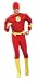 Search : Justice League - The Flash Costume