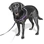 SENSE-ation No-Pull Dog Harness - Large/Wide (Black)