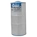 Filbur FC-3965 Antimicrobial Replacement Filter Cartridge for Caldera 100 Pool and Spa Filter