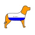 Bury Personalised Waterproof Dog Coat Size S (14" 35cm) 