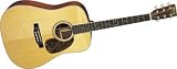 D16RGT Acoustic Guitar