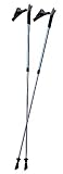 LEKI Nordic Walking Instructor (Lt Blue) Trekking Pole