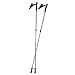 LEKI Nordic Walking Instructor (Lt Blue) Trekking Pole