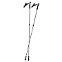LEKI Nordic Walking Instructor (Lt Blue) Trekking Pole