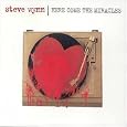 Here Come the Miracles by Steve Wynn