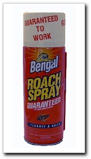 Roach Spray II, 9 oz. can