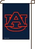 Auburn Tigers 11