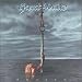 Top 10 Rock Albums You'll Never Admit To Liking