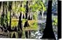 Uncertain Canvas Print / Canvas Art - Artist Skip Hunt