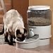 Pet Supplies : Auto Pet Feeder-Holds 10 Pounds of Food-Small (Light Grey) (10"H x 19"W x 10"D)