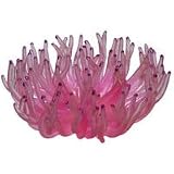 Atlantic Anemone Coral - Pink - 7 in. x 7 in. x 4 in.