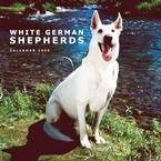 White German Shepherds 2009 Wall Calendar