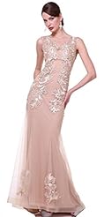 Mermaid Tulle Lace Evening Dress/Prom Dress 