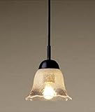 Panasonic �R���p�N�g�y���_���g�V���[�Y�R�[�h���[�^�t�����W [���M��] LB19115