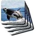 Whales - Killer whale airbourne - Coasters