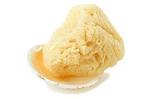 Silk Sea Sponges