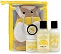 Little Twig Organic Travel Basics Kit 1 set